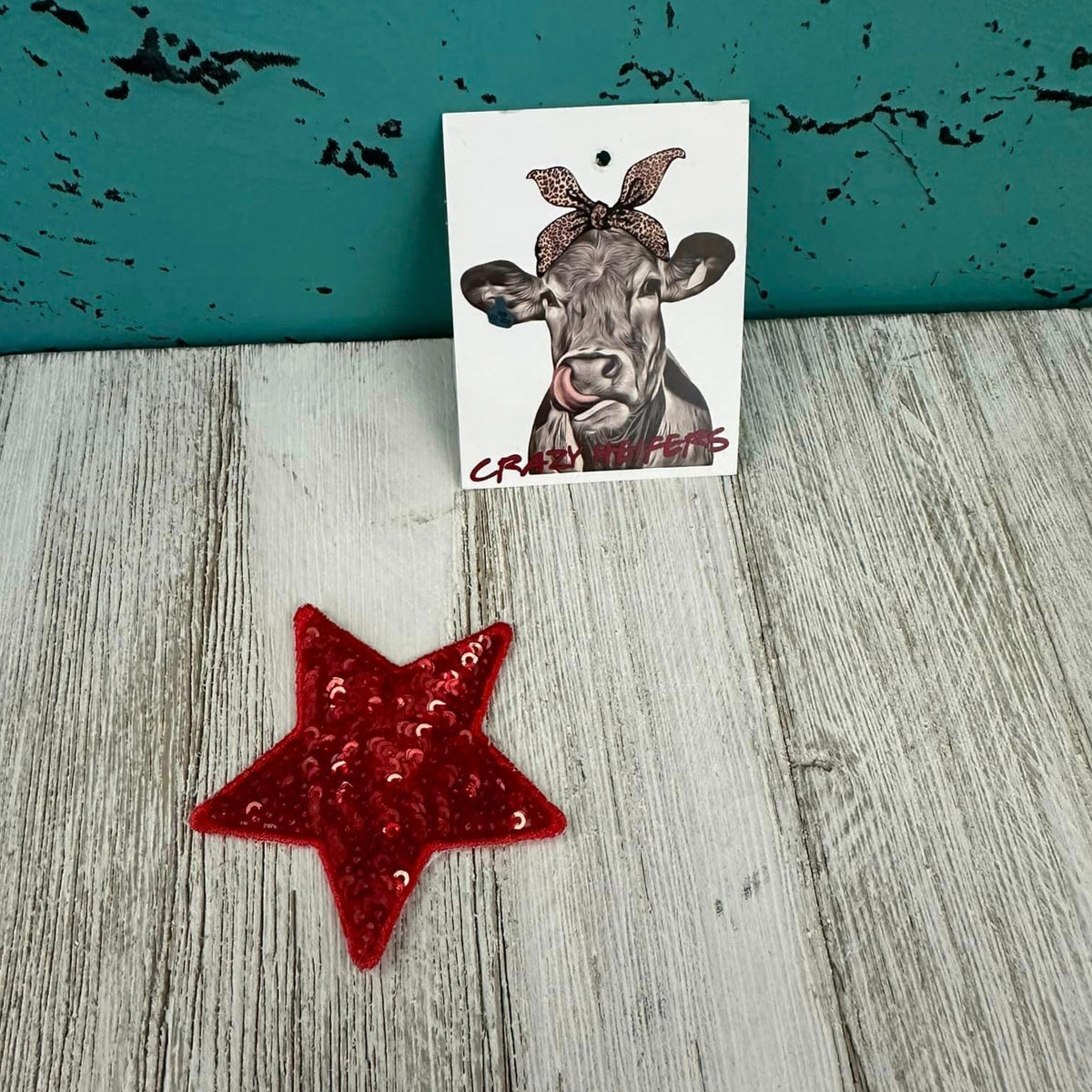 Patches-Iron on (#3)