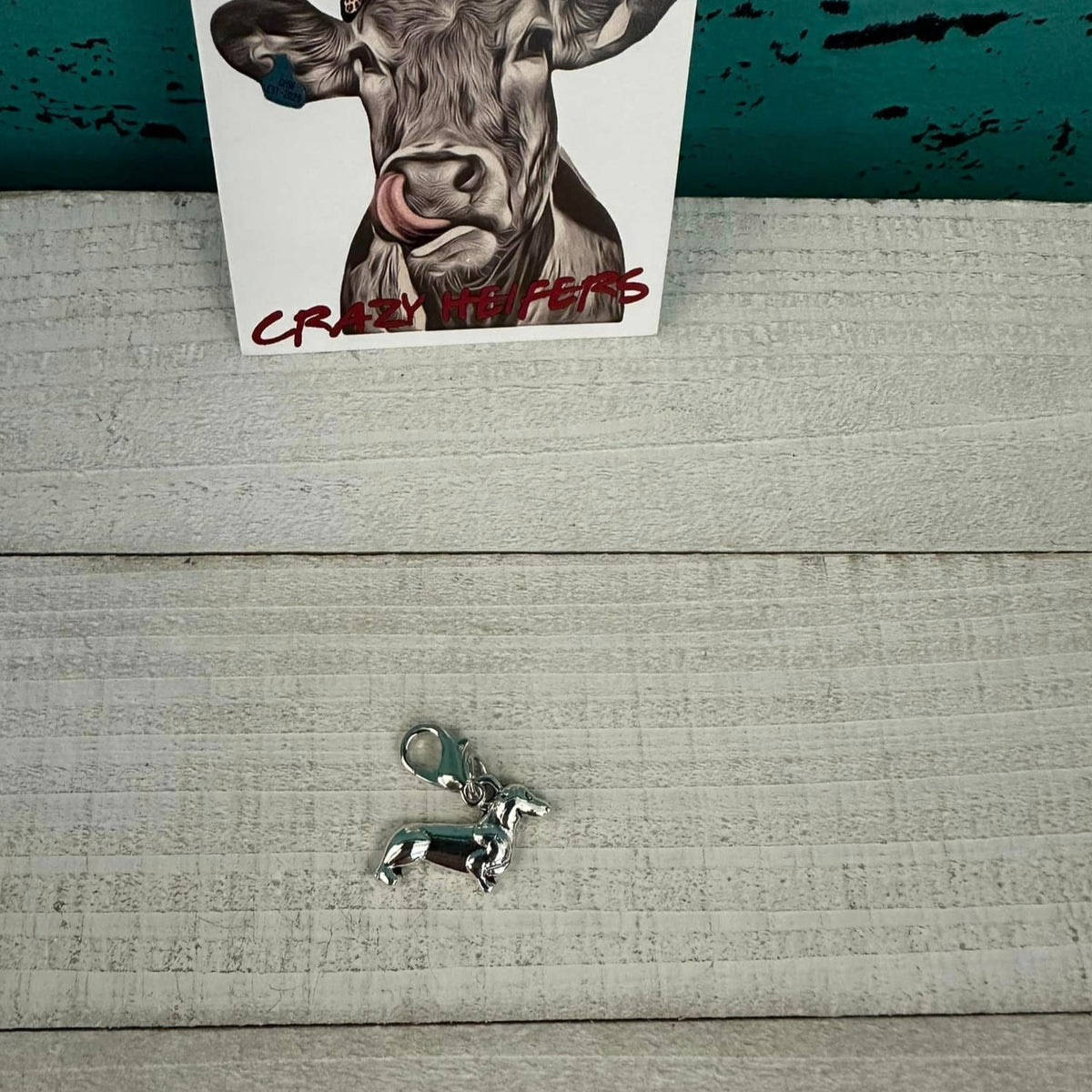 Clip-on Charms Silver Tone