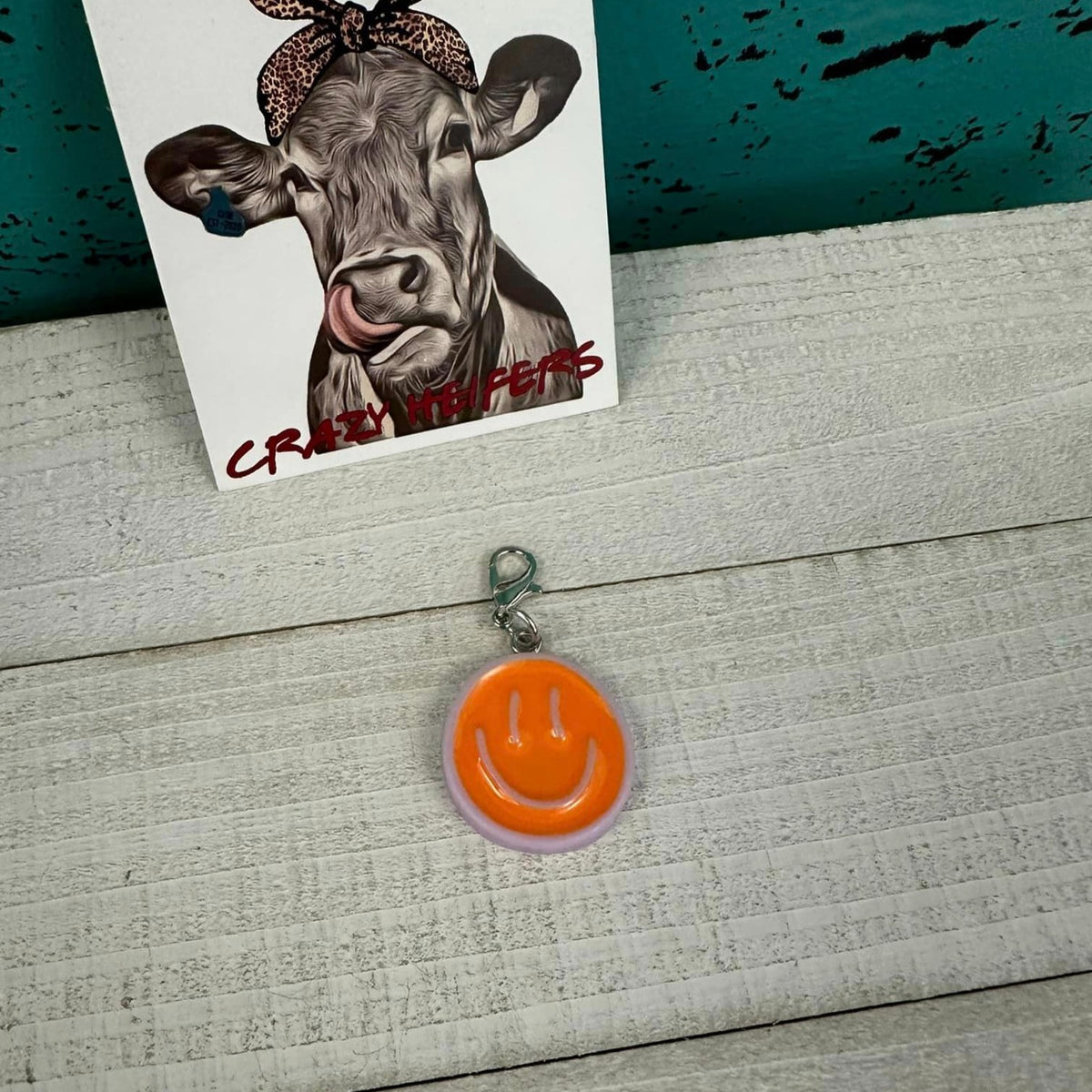 Clip-on Charms Silver Tone V2