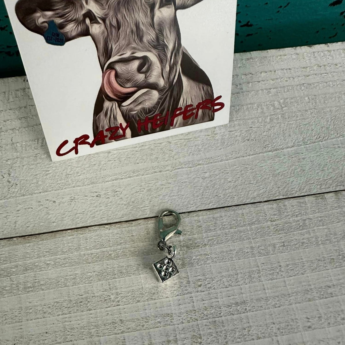 Clip-on Charms Silver Tone V2