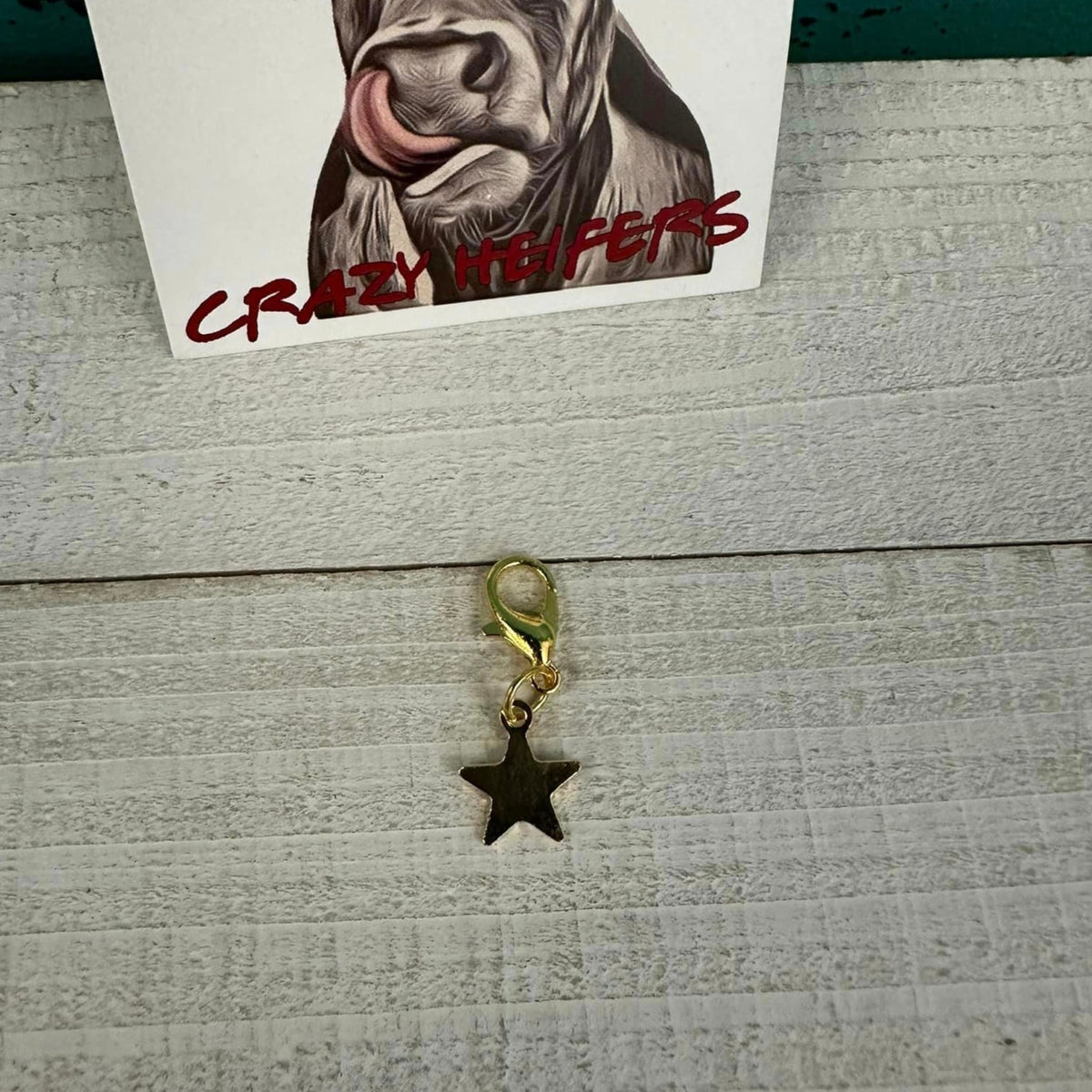 Clip-on Charms Gold Tone V2