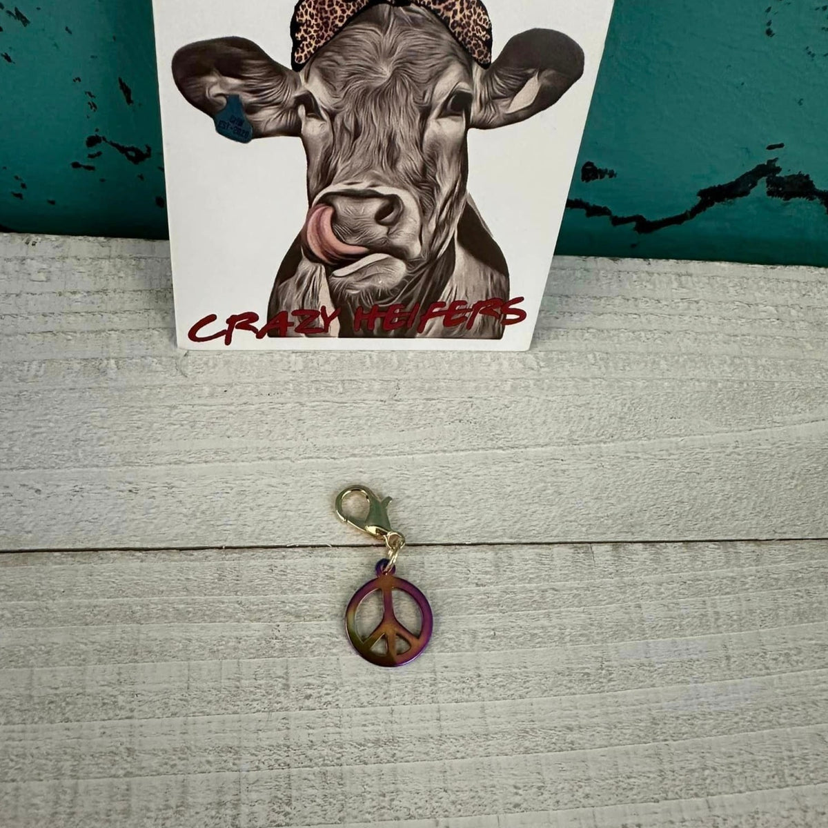 Clip-on Charms Gold Tone V3