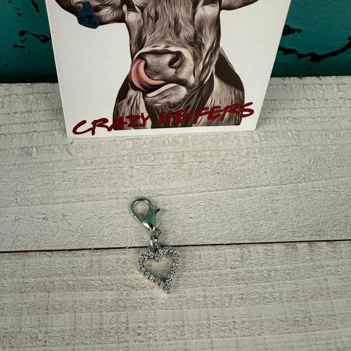 Clip-on Charms Silver Tone V3