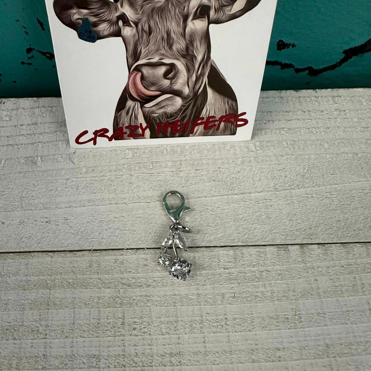 Clip-on Charms Silver Tone V3