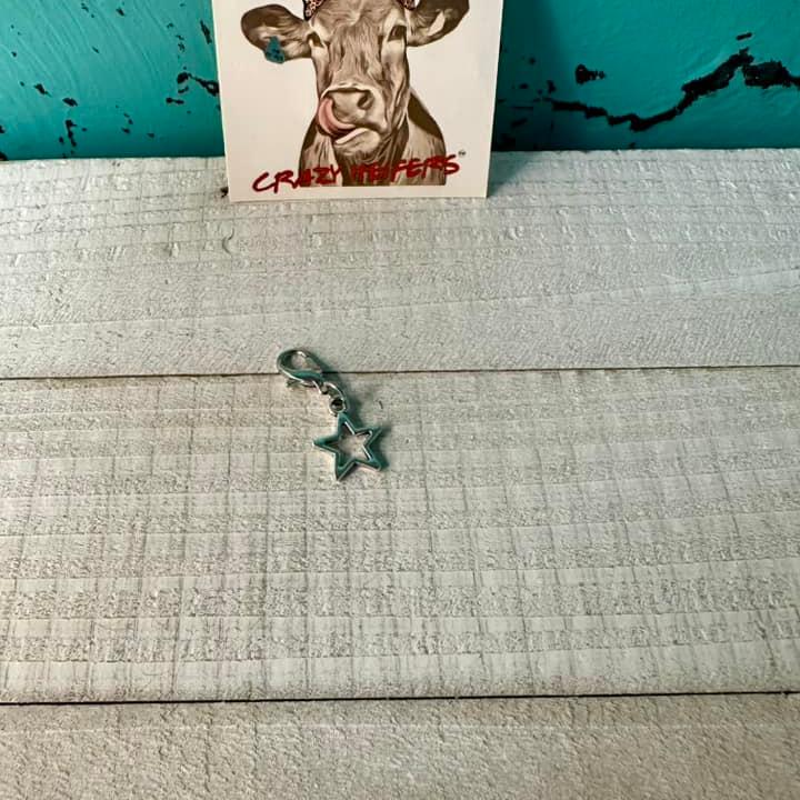 Clip-on Charms Silver Tone V4