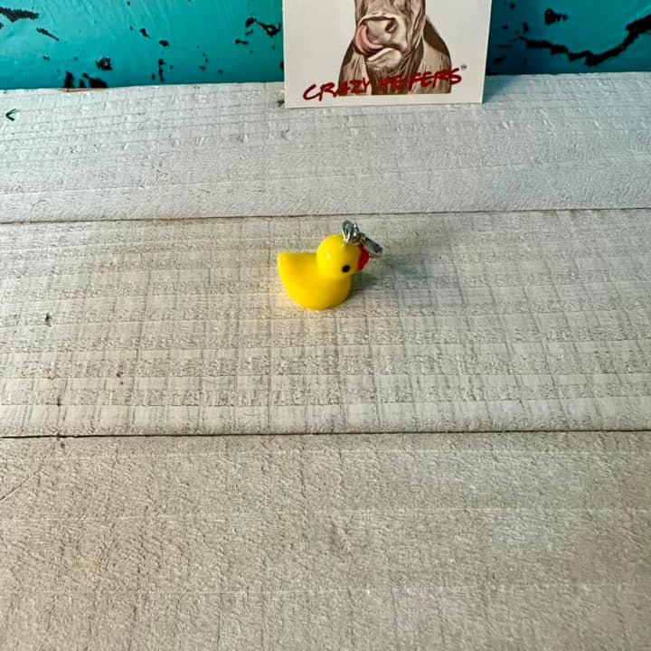 Clip-on Charms Silver Tone V4