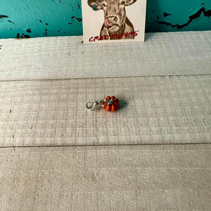 Clip-on Charms Silver Tone V4