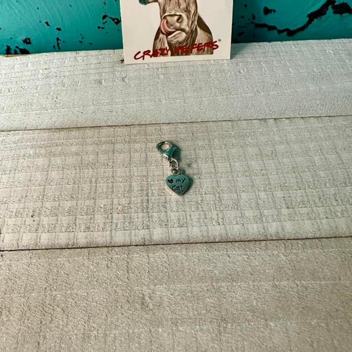 Clip-on Charms Silver Tone V4