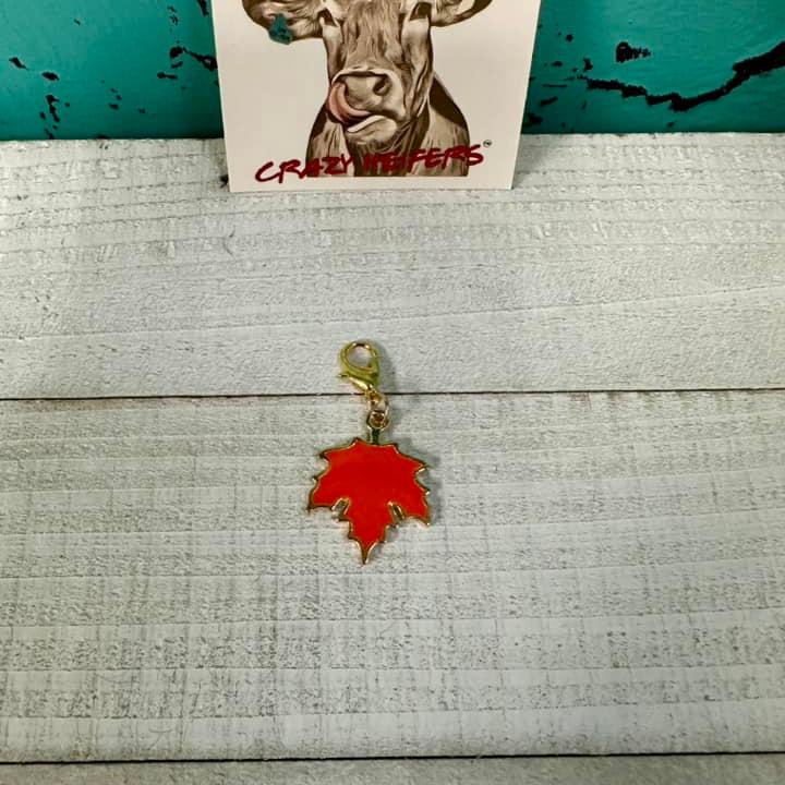 Clip-on Charms Gold Tone V4