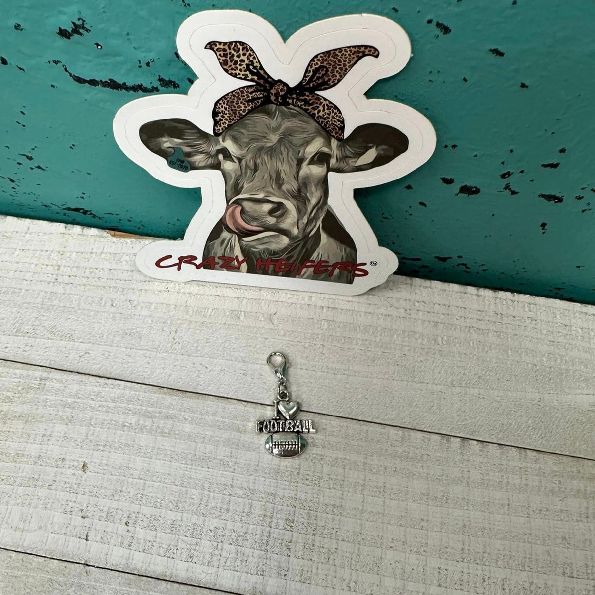 Clip-on Charms Silver Tone V5