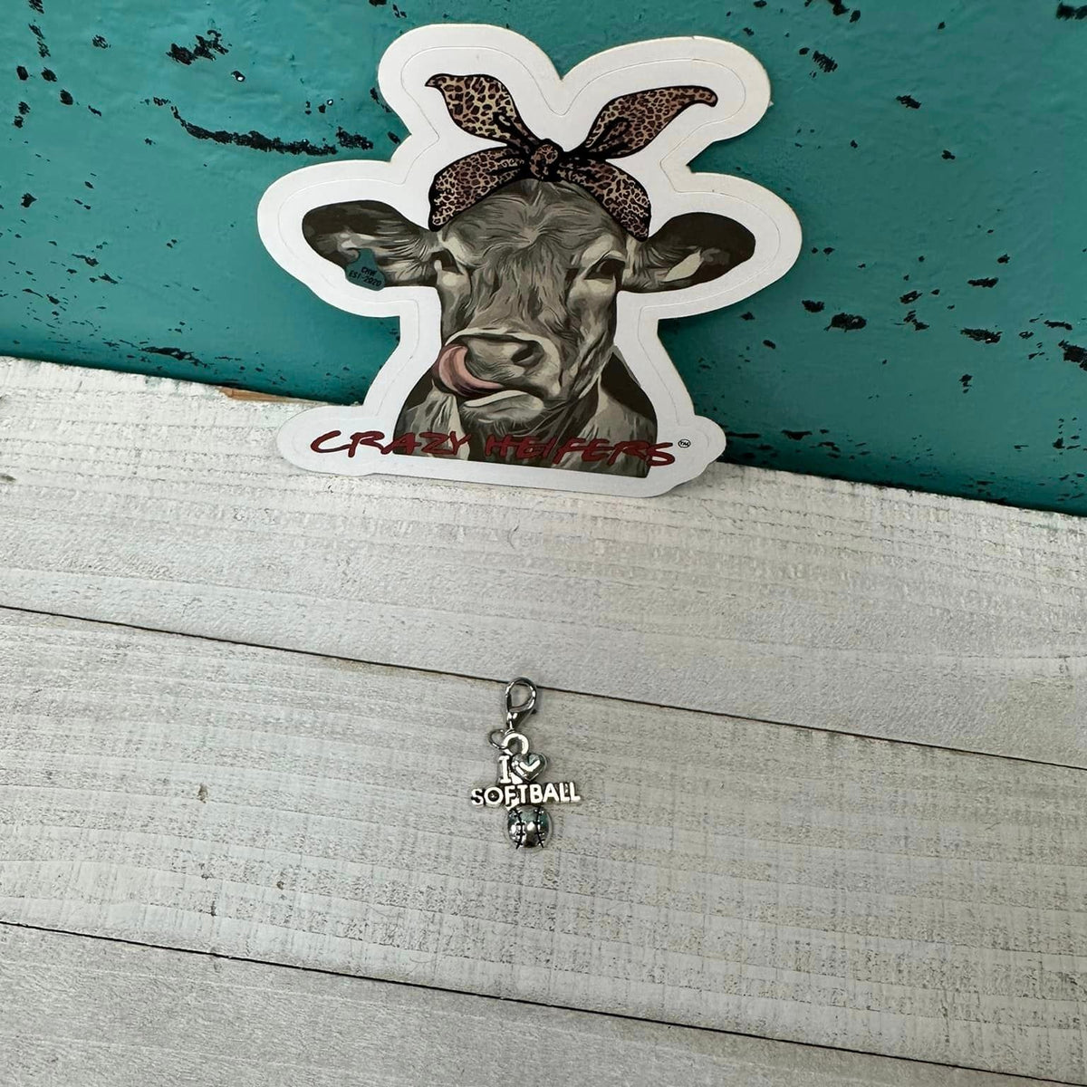 Clip-on Charms Silver Tone V5