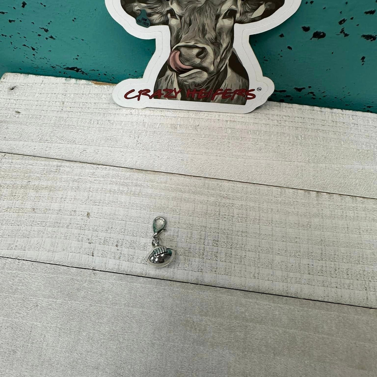 Clip-on Charms Silver Tone V5