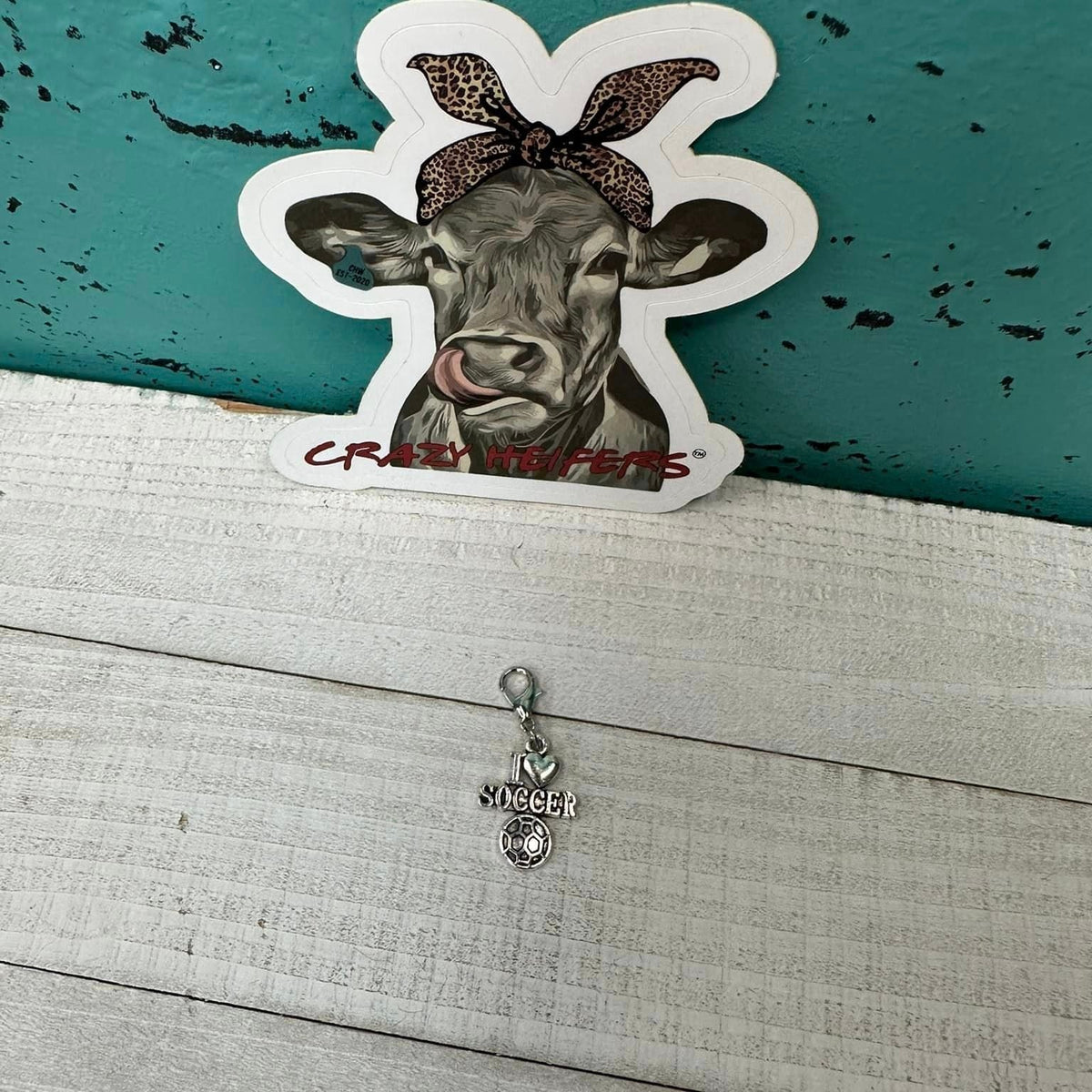 Clip-on Charms Silver Tone V5