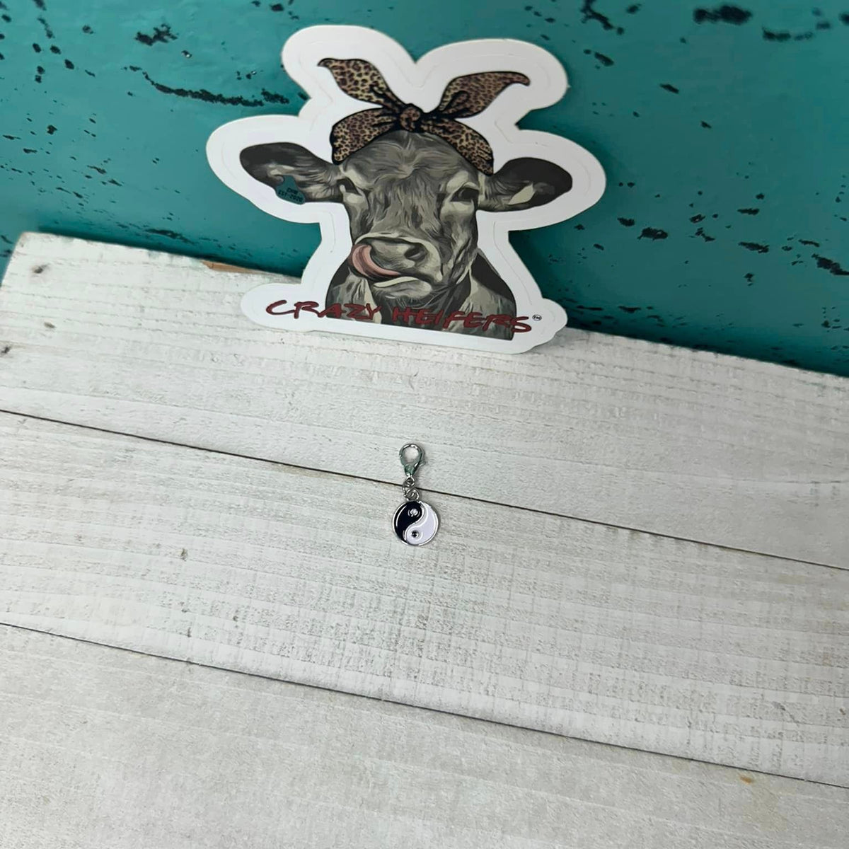 Clip-on Charms Silver Tone V5