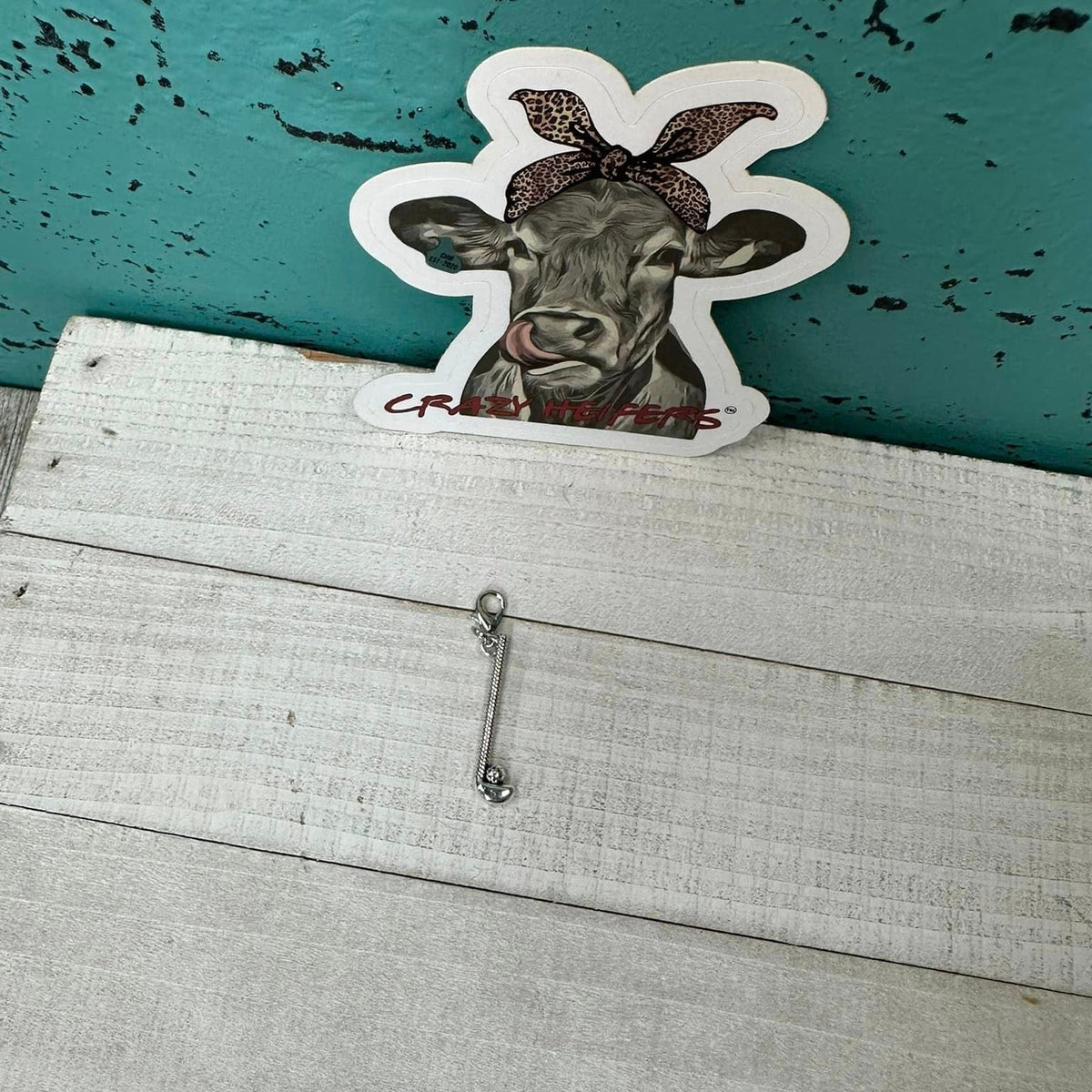 Clip-on Charms Silver Tone V5