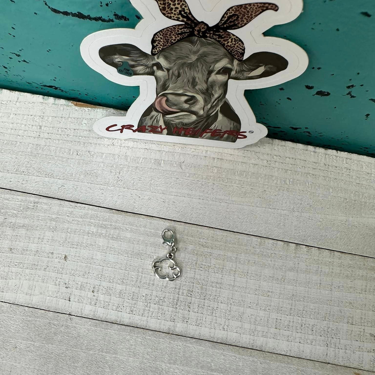 Clip-on Charms Silver Tone V5