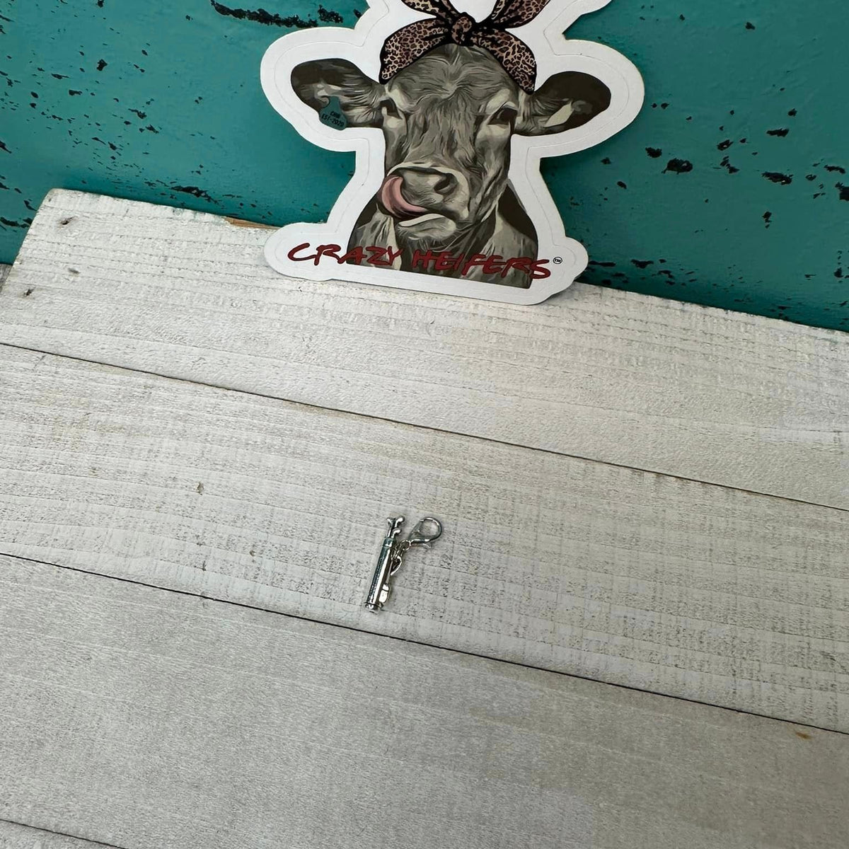 Clip-on Charms Silver Tone V5