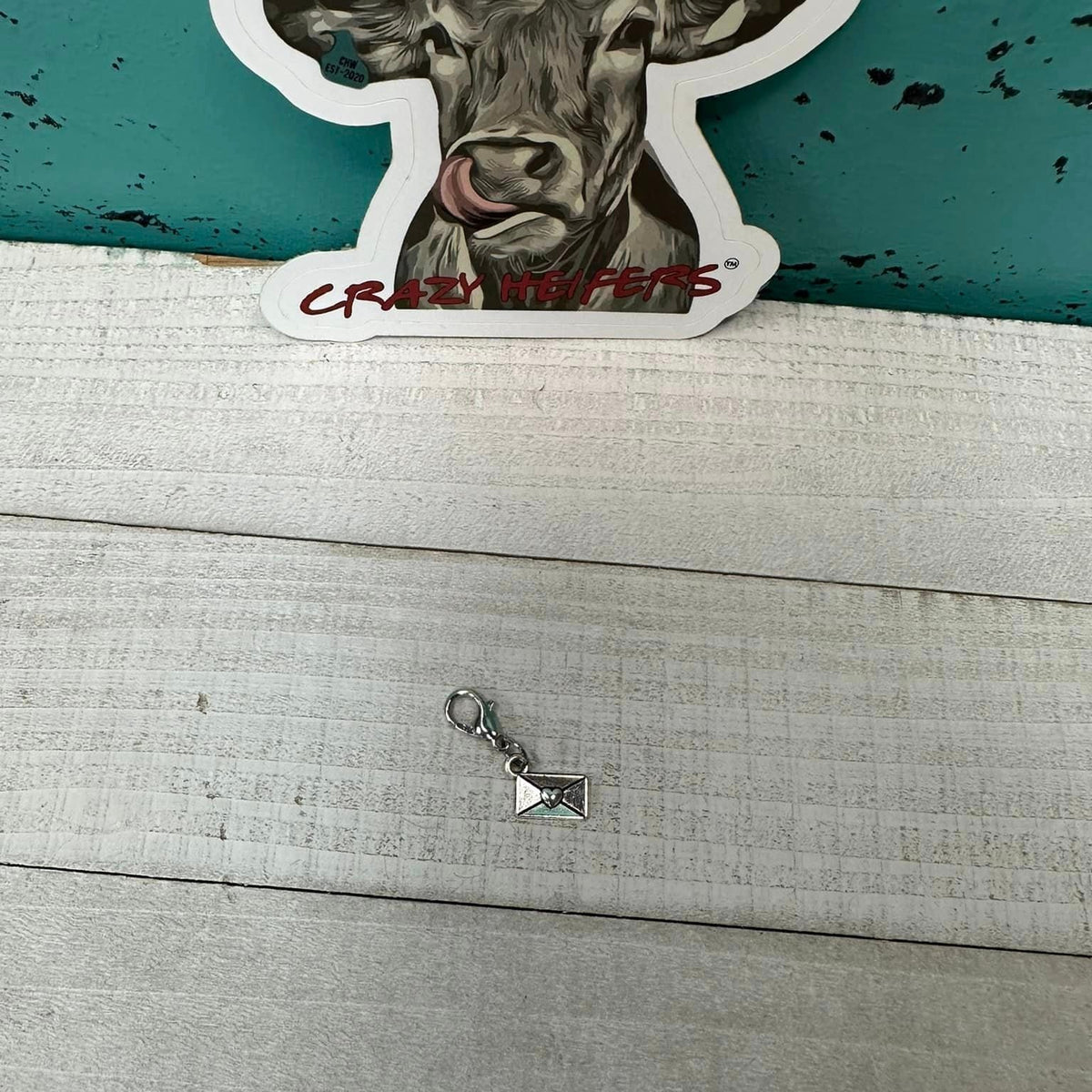 Clip-on Charms Silver Tone V5