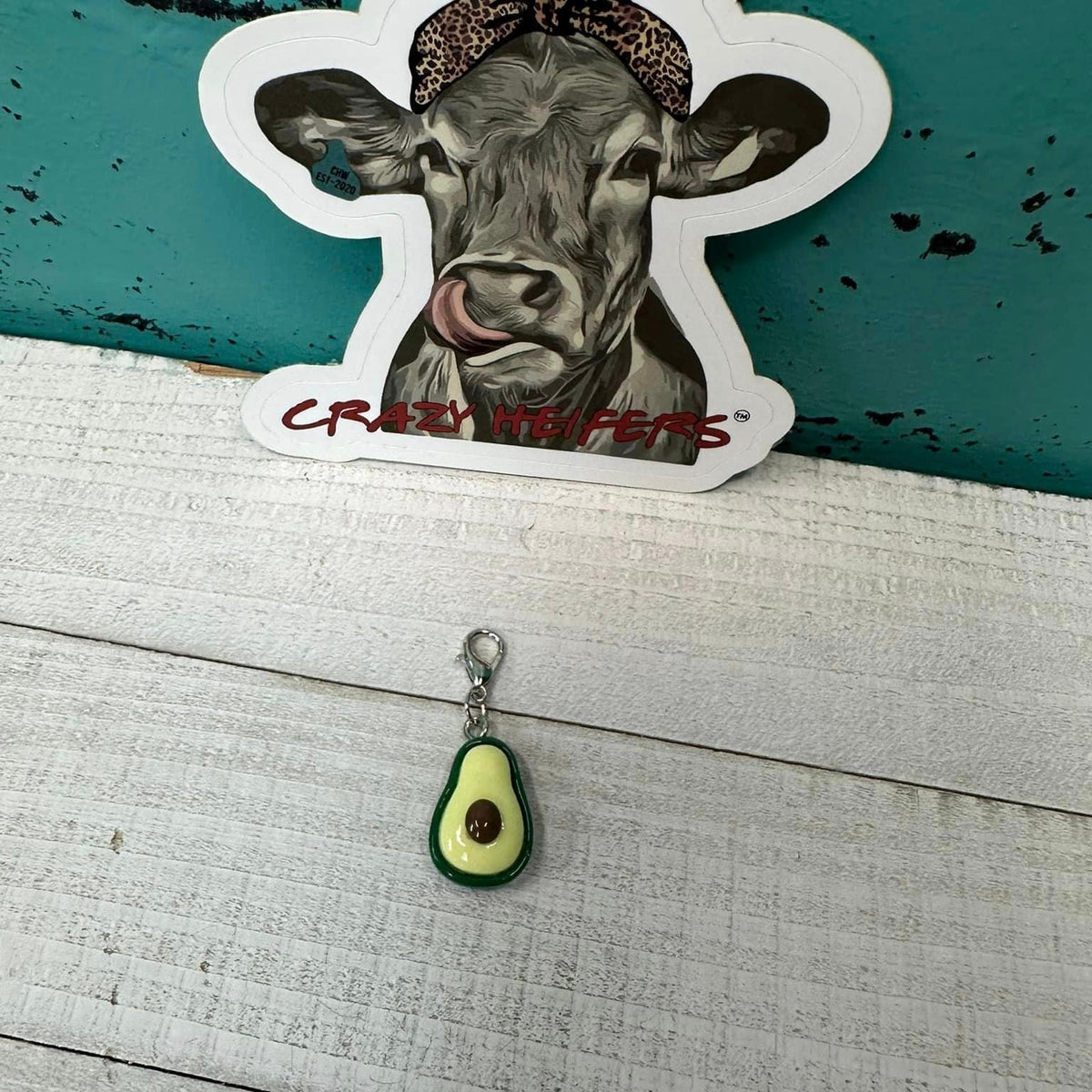 Clip-on Charms Silver Tone V5