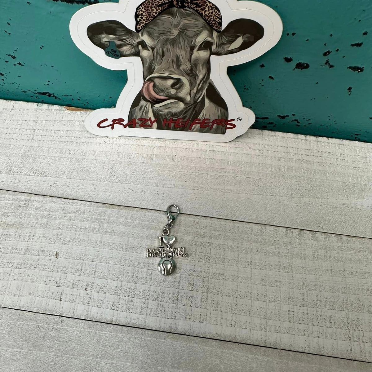 Clip-on Charms Silver Tone V5