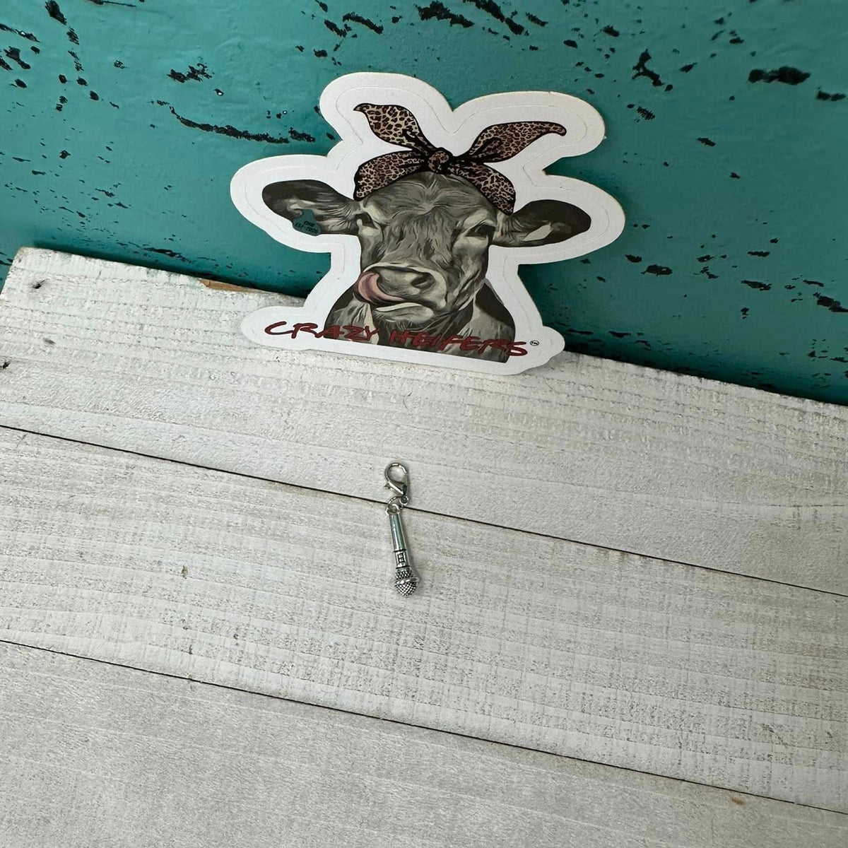 Clip-on Charms Silver Tone V5