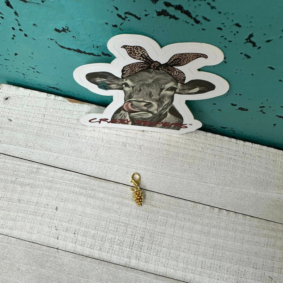 Clip-on Charms Gold Tone V5