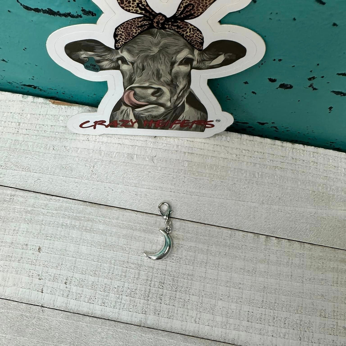 Clip-on Charms Silver Tone V5