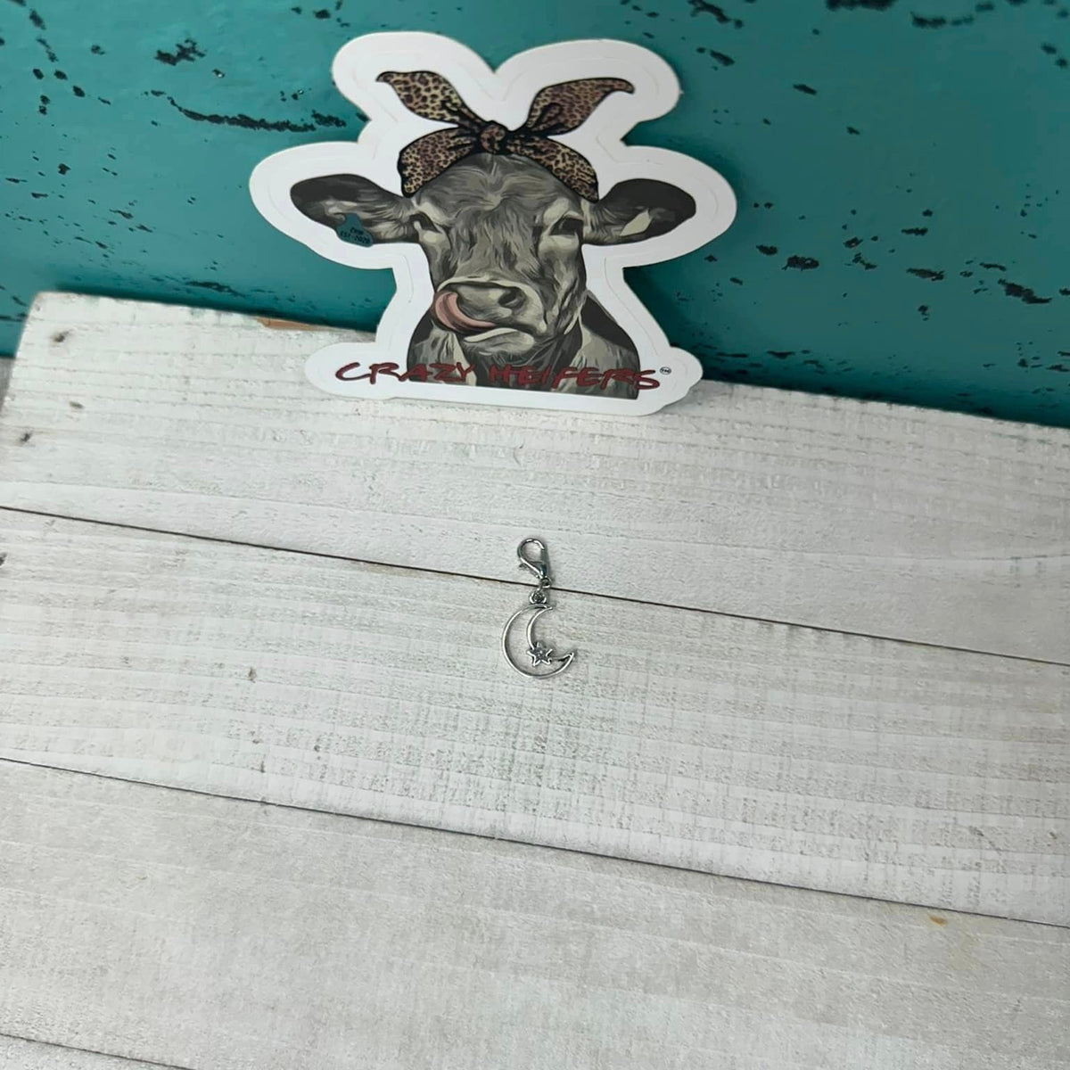 Clip-on Charms Silver Tone V5