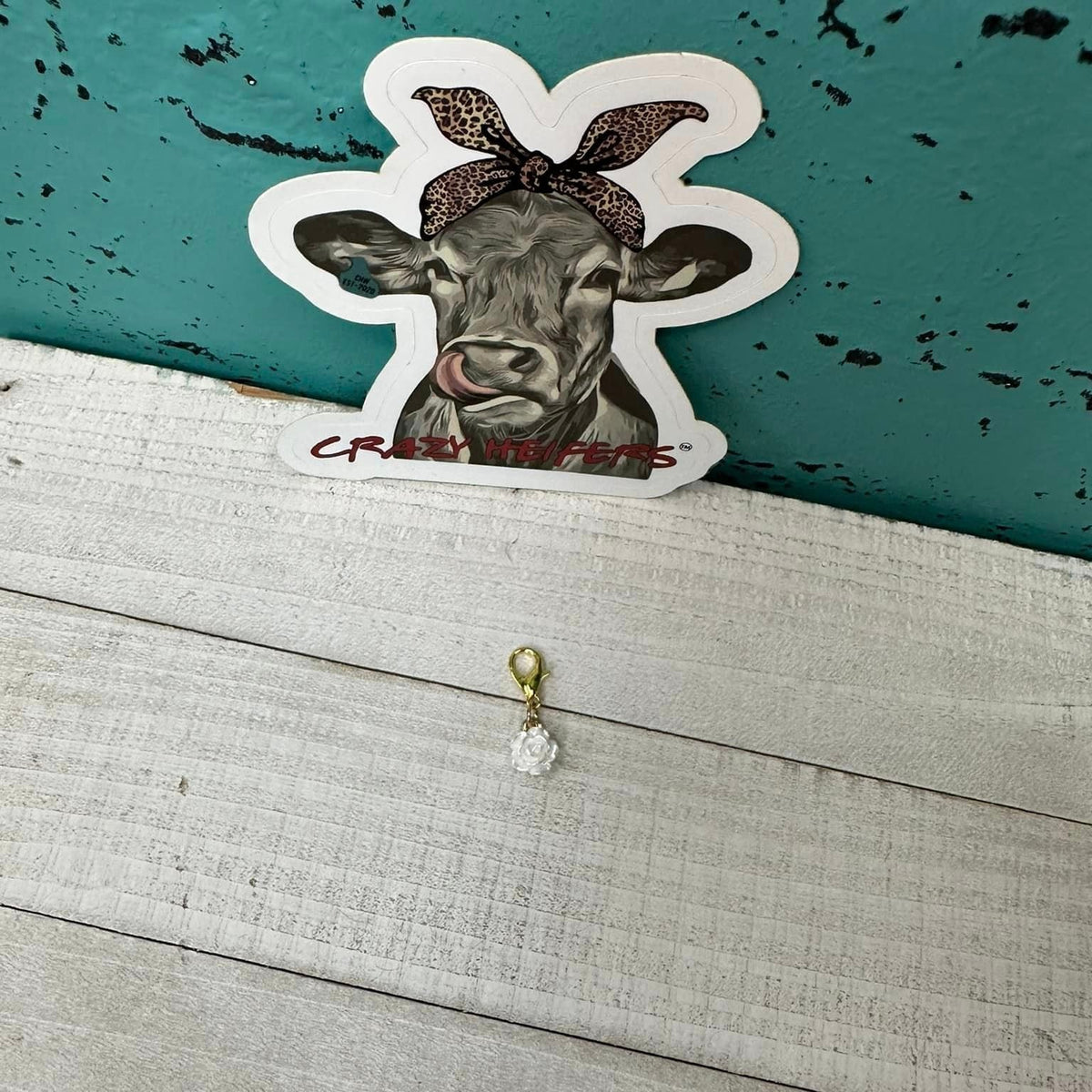 Clip-on Charms Gold Tone V5