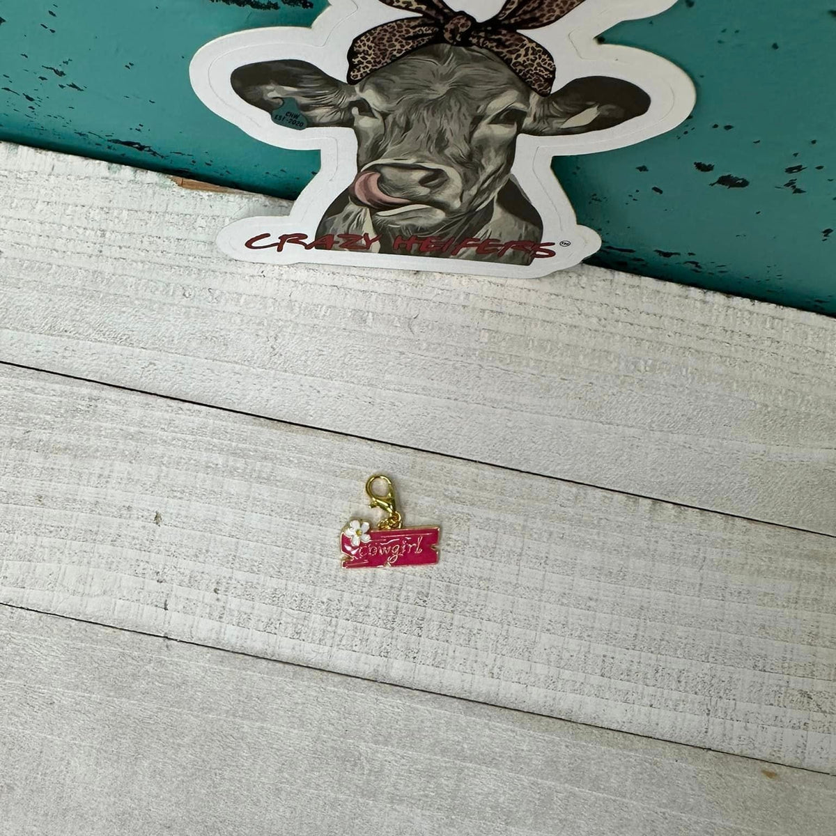 Clip-on Charms Gold Tone V5