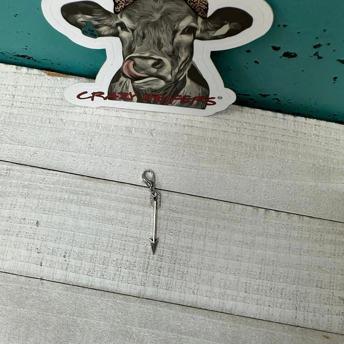 Clip-on Charms Silver Tone V5