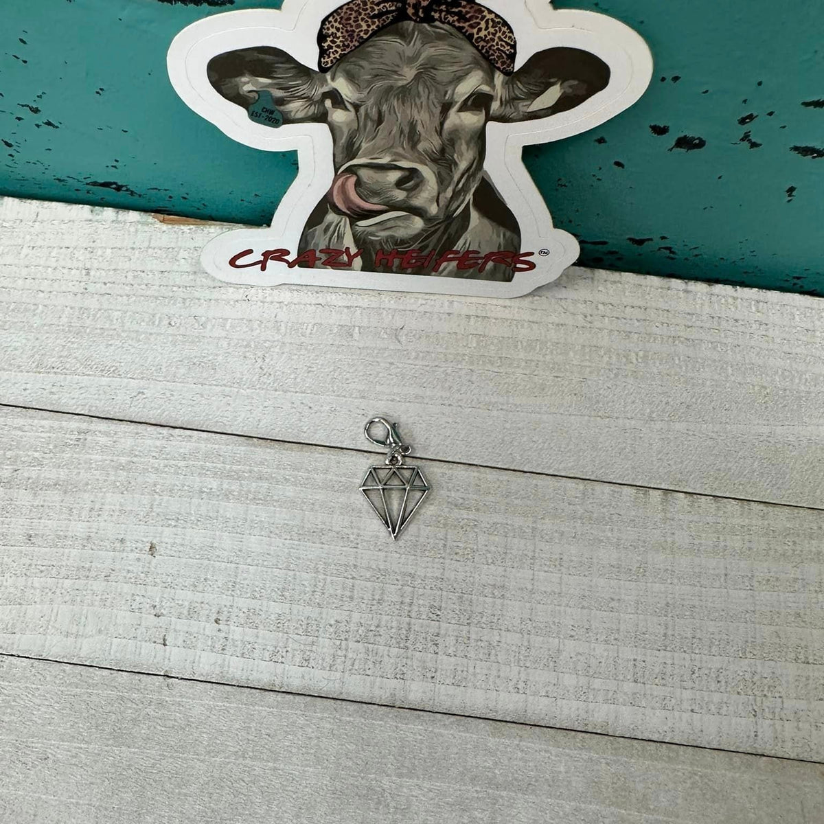 Clip-on Charms Silver Tone V5