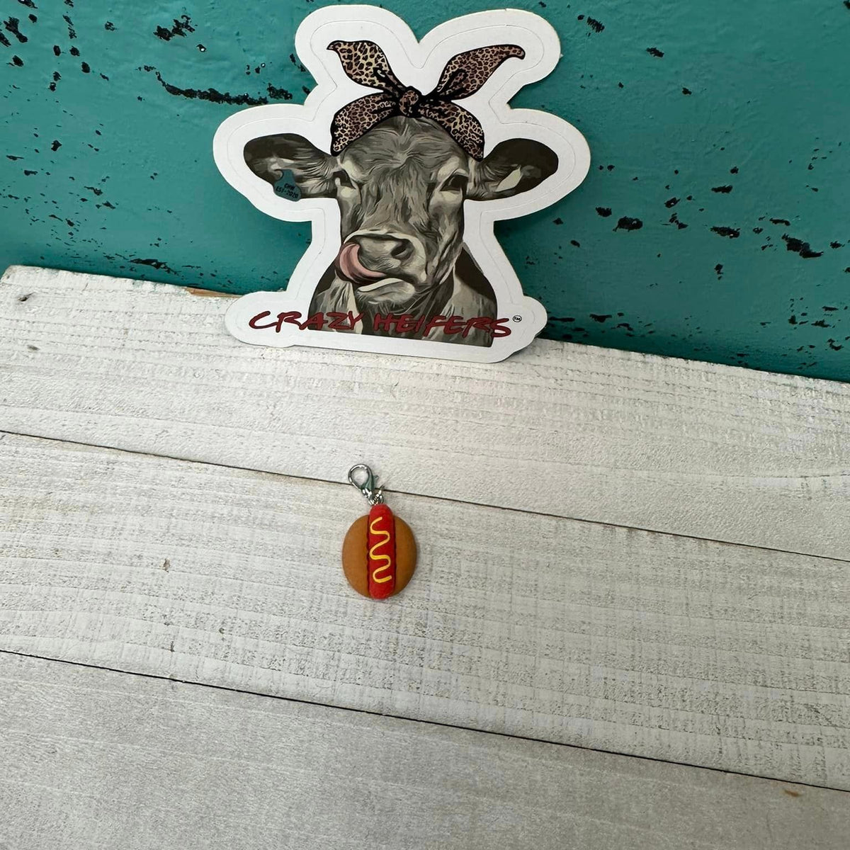 Clip-on Charms Silver Tone V5