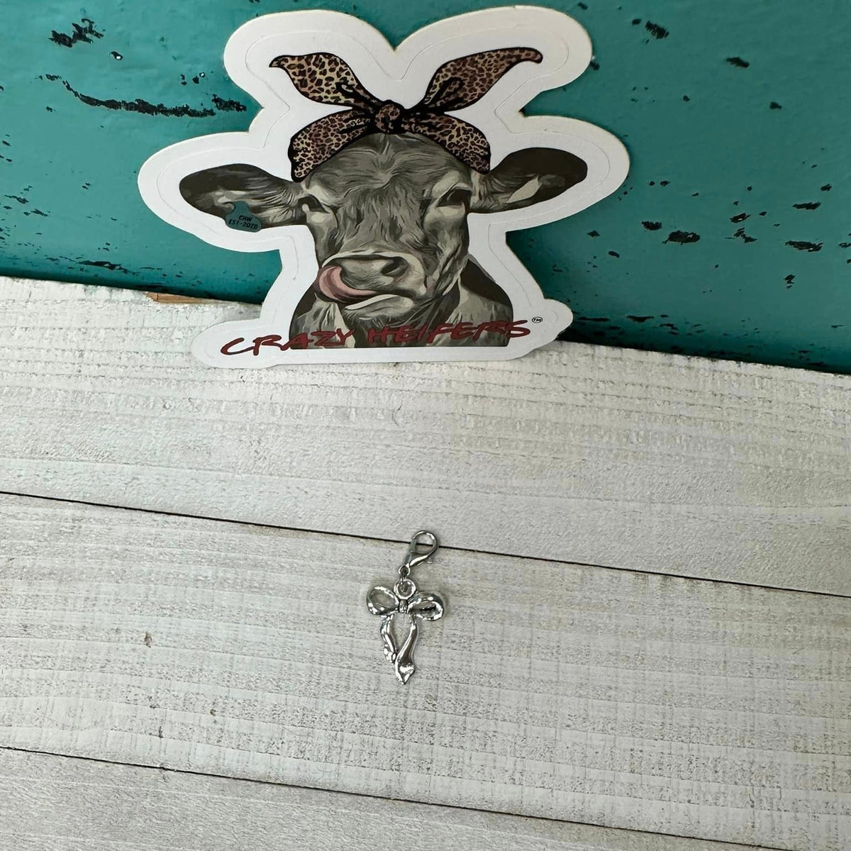 Clip-on Charms Silver Tone V5