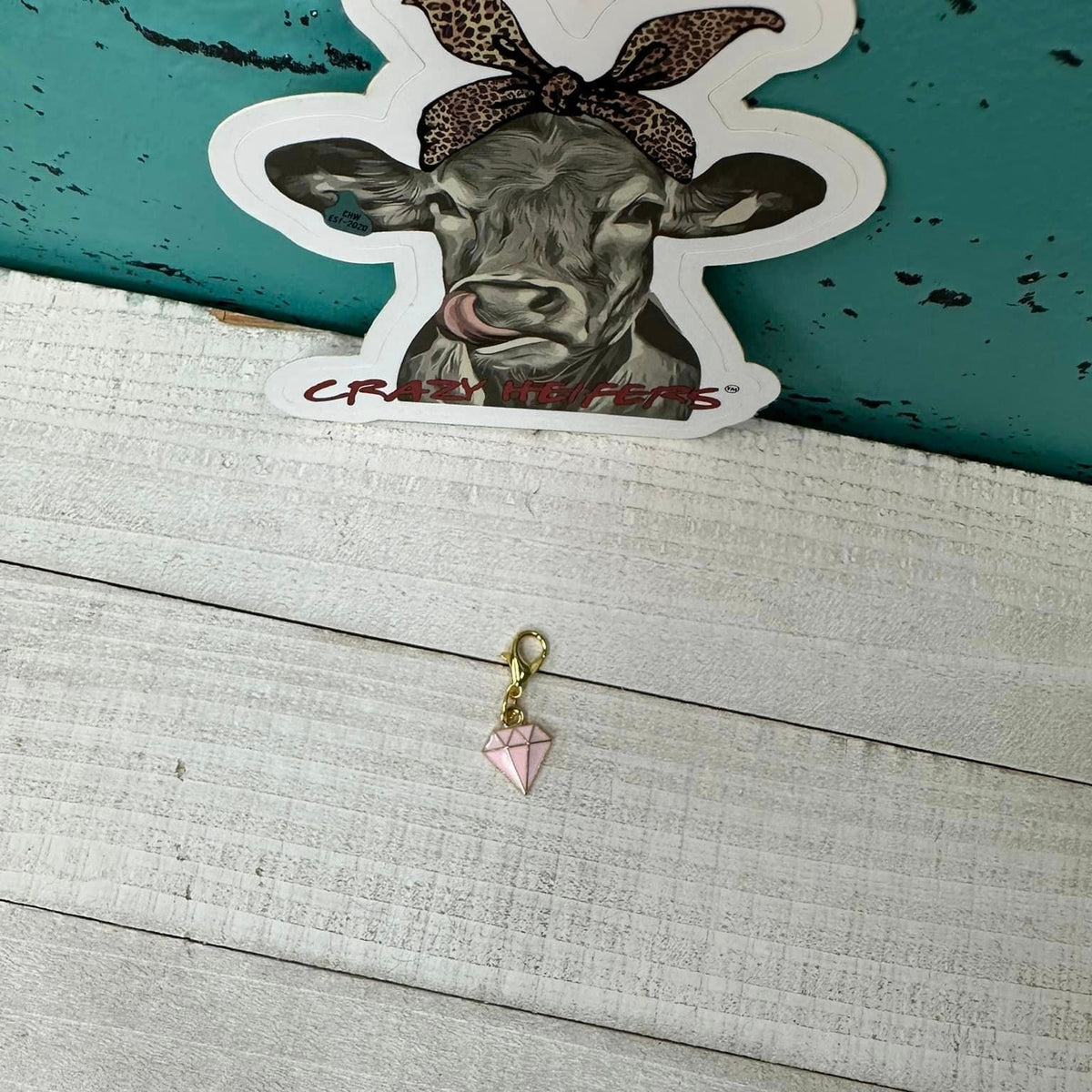 Clip-on Charms Gold Tone V5