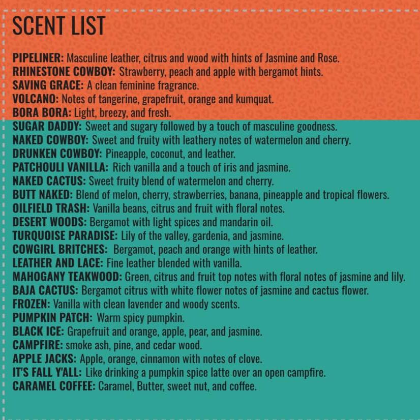 Car Diffuser Scent Refills | 20ML