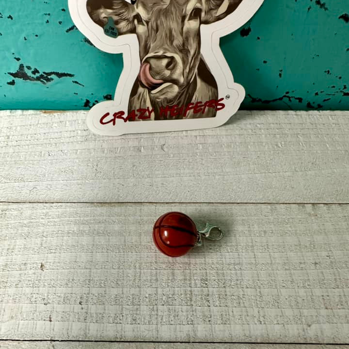 Clip-on Charms Gold and Silver Tone V6