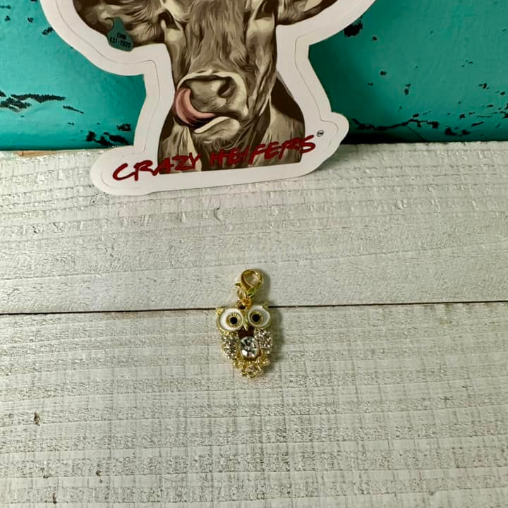 Clip-on Charms Gold and Silver Tone V6