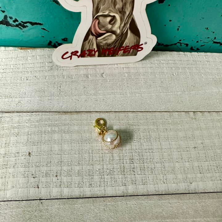 Clip-on Charms Gold and Silver Tone V6