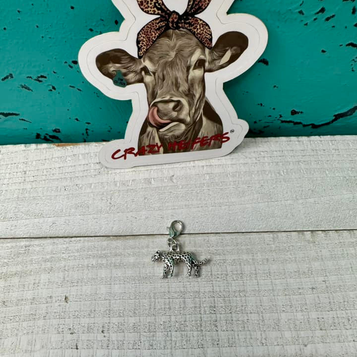 Clip-on Charms Gold and Silver Tone V6