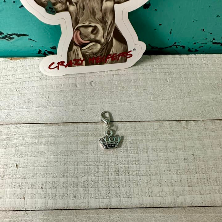 Clip-on Charms Gold and Silver Tone V6