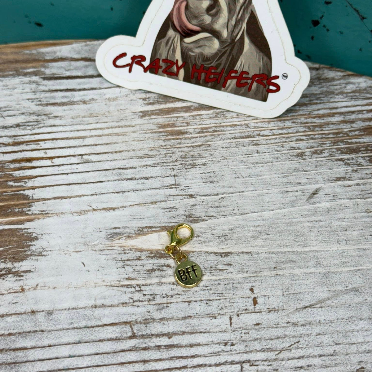 Clip-on Charms Gold and Silver Tone V7