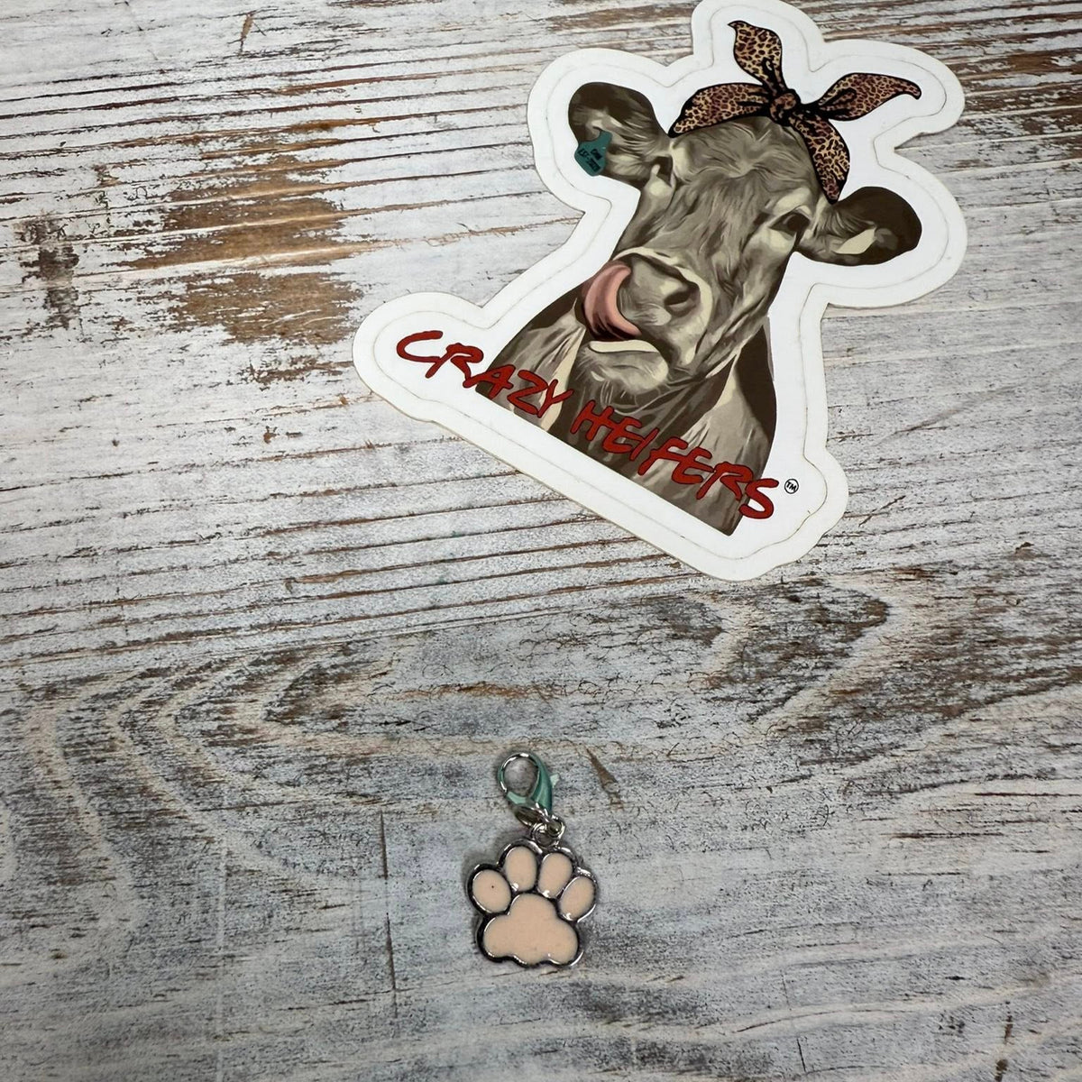 Clip-on Charms Silver Tone V6- Paws