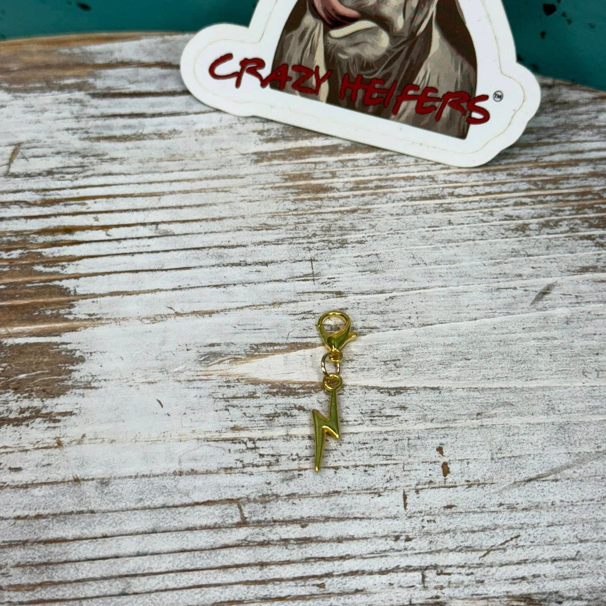 Clip-on Charms Gold and Silver Tone V7