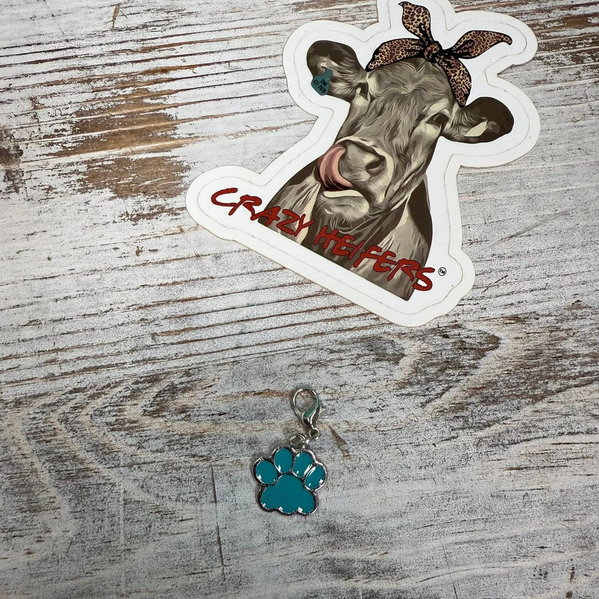 Clip-on Charms Silver Tone V6- Paws