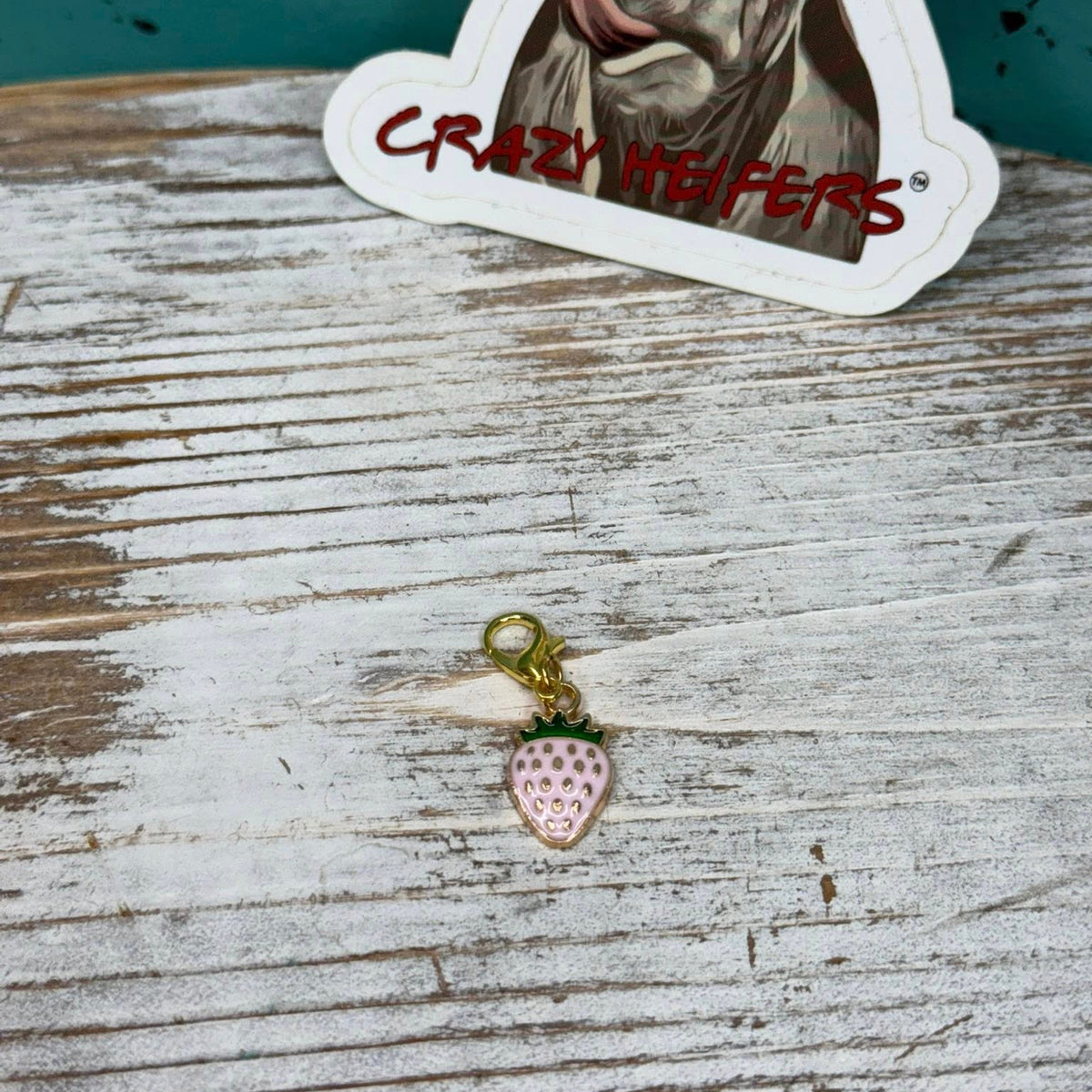 Clip-on Charms Gold and Silver Tone V7