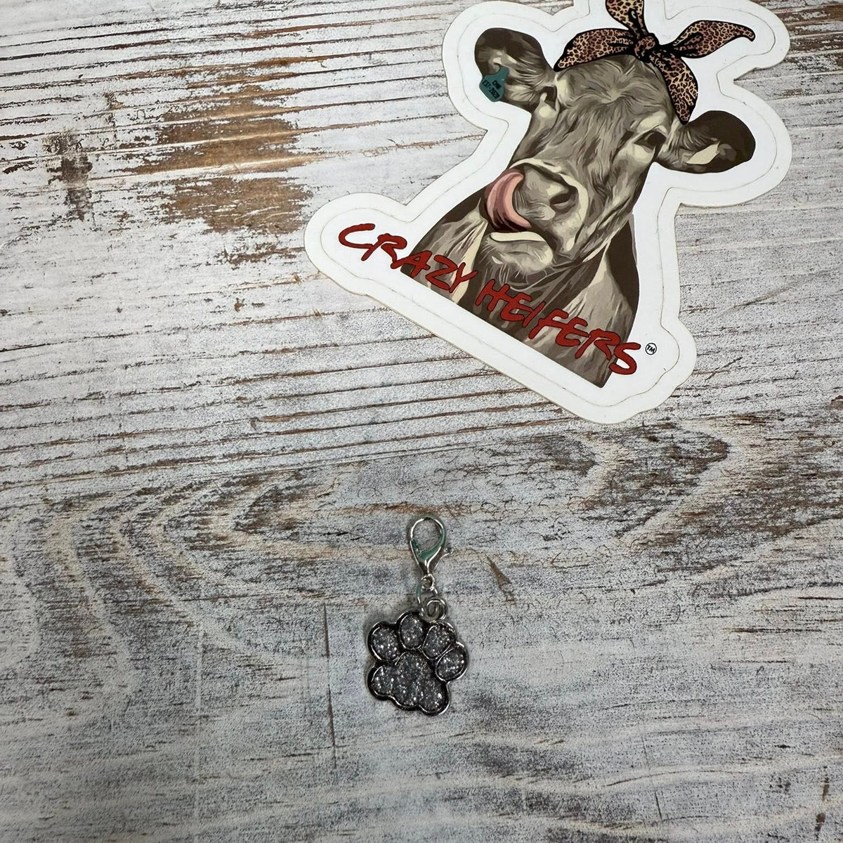 Clip-on Charms Silver Tone V6- Paws