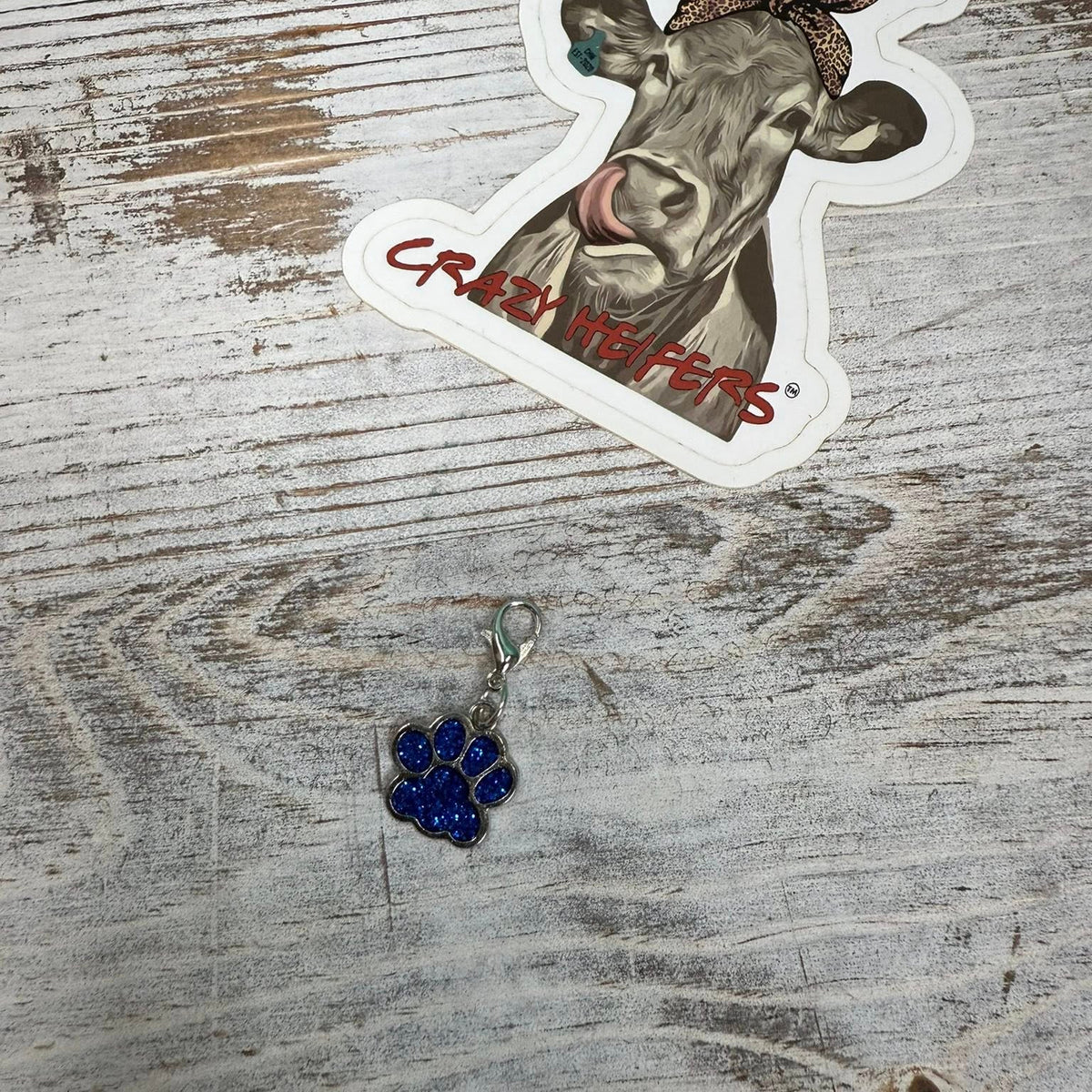 Clip-on Charms Silver Tone V6- Paws