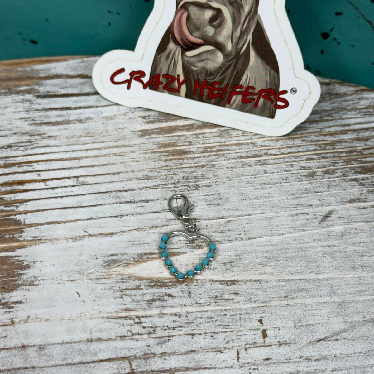 Clip-on Charms Gold and Silver Tone V7