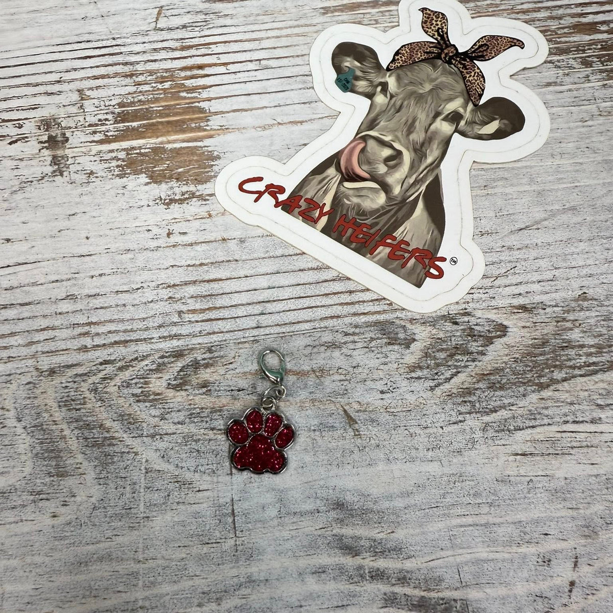 Clip-on Charms Silver Tone V6- Paws